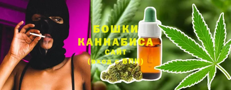 Бошки Шишки Amnesia  купить  цена  Астрахань 